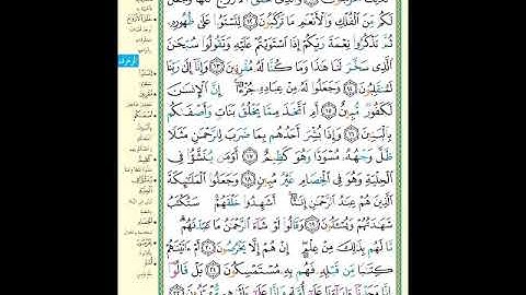 الصفحة (490) من المصحف الشريف ( سورة الزخرف - مشروع حفظ القرآن الكريم )