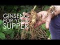 Ginseng For Your Supper | Hsu's Ginseng | Wisconsin Foodie