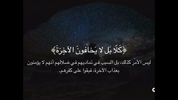 فما لهم عن التذكرة معرضين ۝ كأنهم حمر مستنفرة ۝ فرت من قسورة ﴾ [المدثر: ٤٩-٥٣] بدر التركي ﴿
