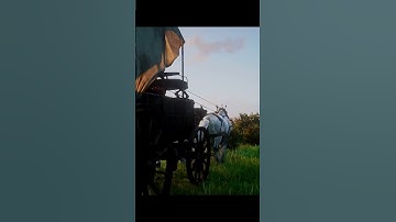 Scenic Horse Carriage Ride | Red Dead Redemption 2 Frontier #shorts  #rdr2