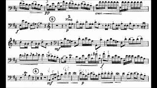 Dittersdorf Primer movimiento concierto para contrabajo sin cadenza