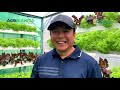 MINI FARM sa harap ng bahay PART 1: Hydroponics, Vertical Farming DIY