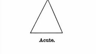 The Acute Triangle