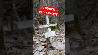 A Hidden Pet Cemetery! #shorts