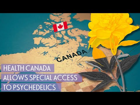 Did Canada Just Quietly Legalize Psychedelic Therapy? Kind of, but it's Complicated