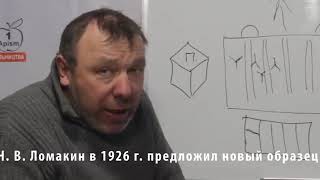 Юрий Овдиенко-как пчёлы строят соты на рамках в улье