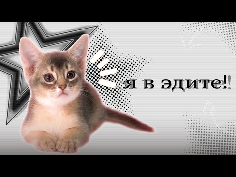 Видео: Ахн плейлист, чтобы чувствовать себя в эдите #6