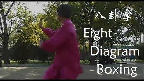 八卦掌 Eight Diagram Boxing