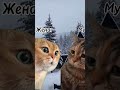 Жена и муж в стиле котиков 🤣😅у вас были такие мысли 🙊
