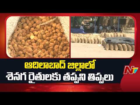 Adilabad District : ఆదిలాబాద్ జిల్లాలో శెనగ రైతులకు తప్పని తిప్పలు | NTV Telugu - NTVTELUGU