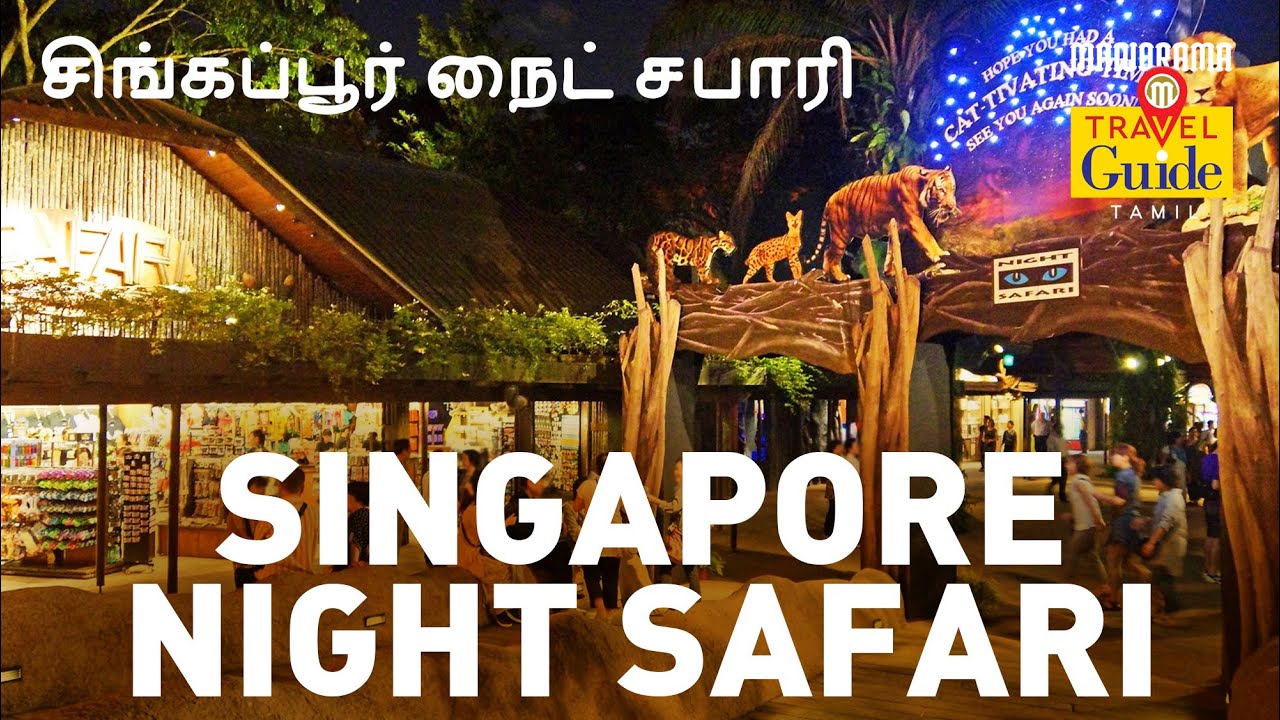 ちーちー சிங்கப்பூர் நைட் சஃபாரி | Singapore Night