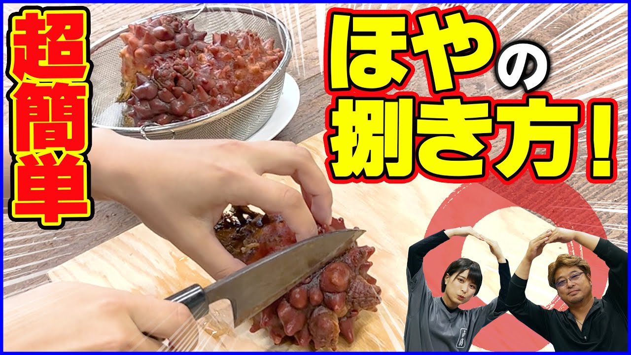 Direct from a sea squirt fisherman] Super easy! How to fillet sea