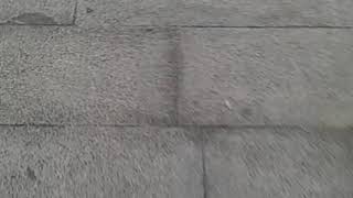 Deniz Gezinti Marmara Erelisi