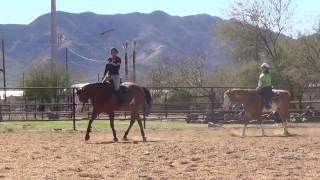 Barn Vlog &amp; Riding Raws | January 28