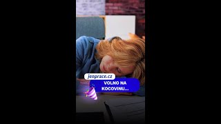 Volno na kocovinu…