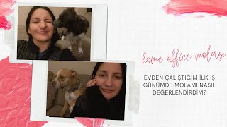 Evde Köpeklerimle Egzersiz Yaptık