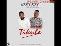 Waxy Kay ft Sir Patrick's - Tikule (official mp3 single)