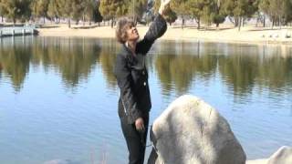 Barbara McNairy - Can I get a Witness