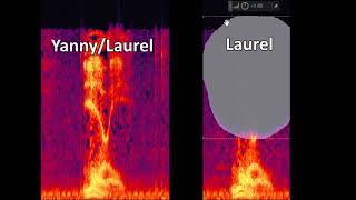 SOLVED 100%: Yanny/Laurel  High vs. Low Frequency