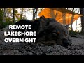 Camping on a remote lakeshore with my dog — Nature sounds — Birds and bumble-bees