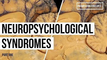Neuropsychology Syndromes (Part One) - (Video Nº14, Series #2)