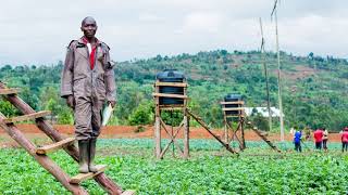 FIDA au Burundi, les exploitants modernes avec irrigation
