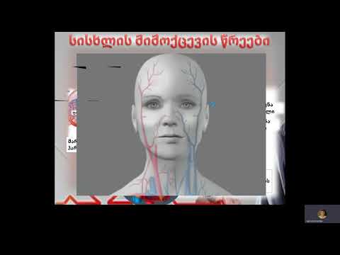 სისხლის მიმოქცევის წრეები II ნაწილი