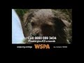 Wspa  dogs tv advert