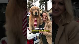 The Dog That Became A Mayor