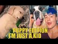 Puppy Edition-I&#39;m Just a Kid