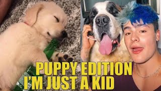 Puppy Edition-I&#39;m Just a Kid