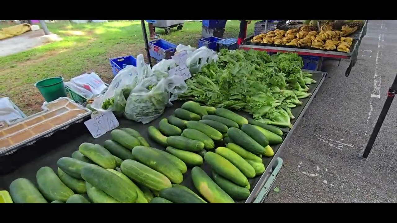 Markt Matoury Frans Guyana 2025