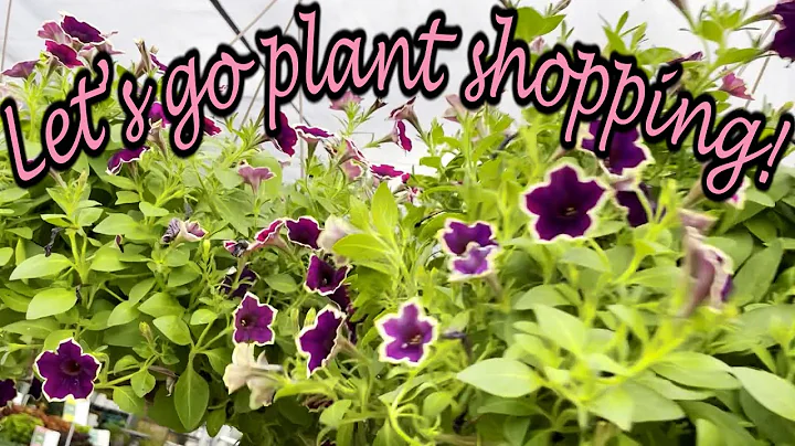 Cornelius Nursery - Relaxing, No Talking, Plant Sh...