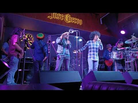 Brownman Revival - Binibini (420 Fin & Claw) - YouTube