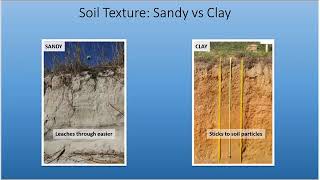 Urban Soil Quality