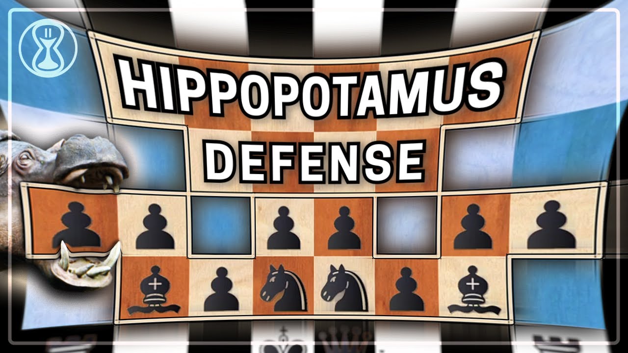 Play the Hippopotamus with black!