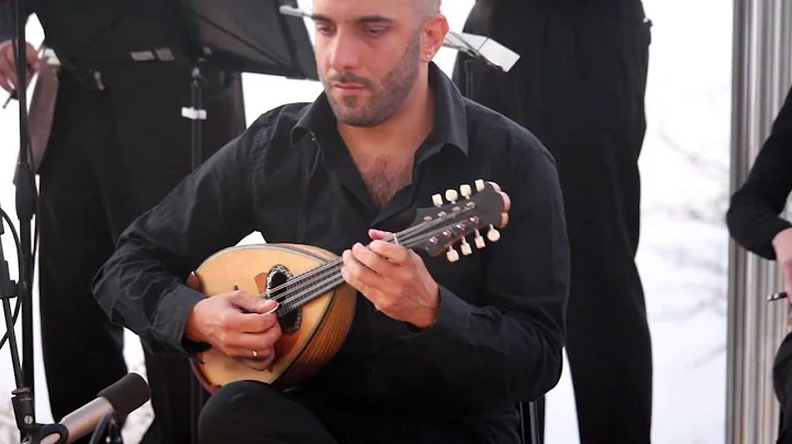 Michele de Martino plays J. S. Bach 3st movement a...