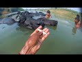 Buffaloes Bathing in Karmnasa River | Buffalo Bathing Video | Bipin Shingh