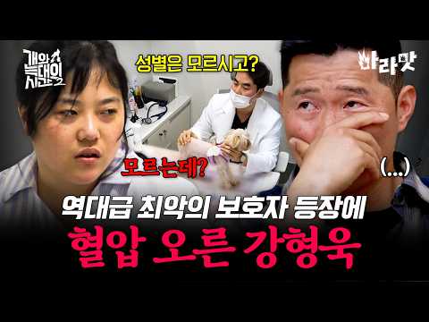 [#Spicy] Doesn't even know the dog's gender but wants more!? Kang Hyung-wook's blood pressure spi...