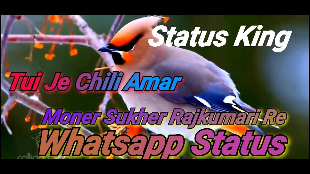 ️TUI_JE_CHILI_AMAR_MONER_SUKHER_RAJKUMARI🕊️🕊️// Bengali Sad Song