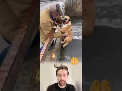 عندما تكون قادر على انقاذ حيوان فبادر بالاانقاذ لاان بايجي يوم ينقذك الحيوان واطلب الااجر من الله