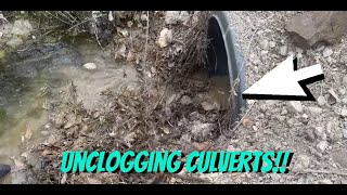 UNCLOGGING CULVERTS IN THE WOODS! 04/2024