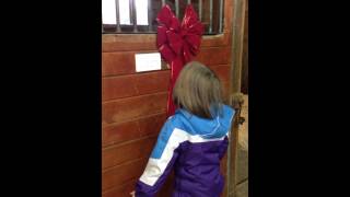 A Pony for Christmas! Such a Sweet Reaction!