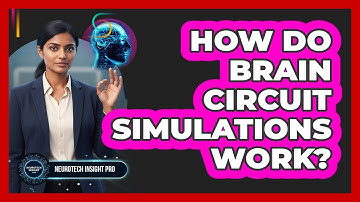 How Do Brain Circuit Simulations Work?