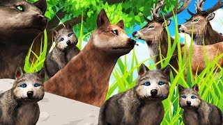 ENGORDANDO A NUESTROS CACHORROS | WOLF QUEST