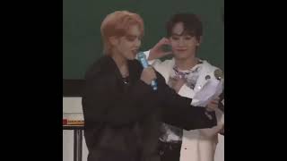 Scoups Getting Closer Fanchant