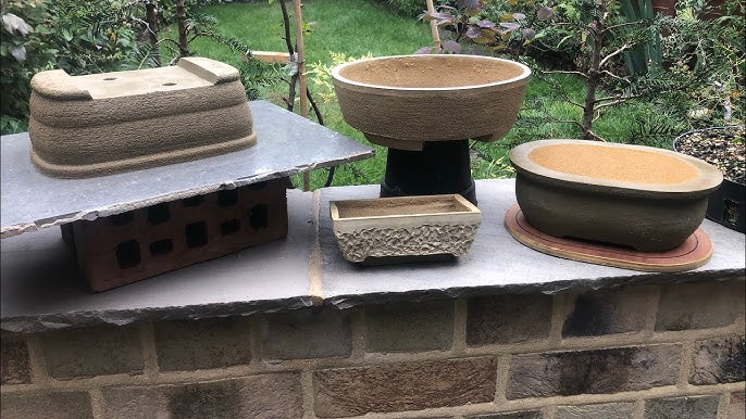 Bonsai Planter Project – The Crafty Kit