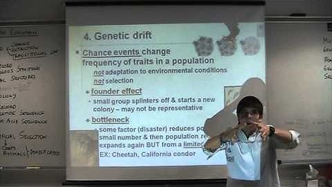 Ch 23 Evolution of Populations