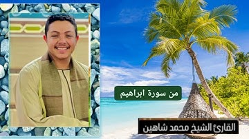 من سورة ابراهيم /الشيخ محمد شاهين محمد عبد الحميد المنياوي