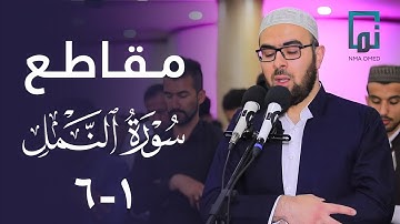 سورة النمل (١-٦)